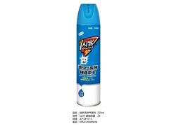 自然无味气雾剂750ml